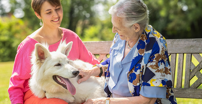 Maison de retraite zoothérapie chien